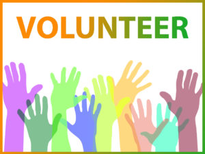volunteer at India House