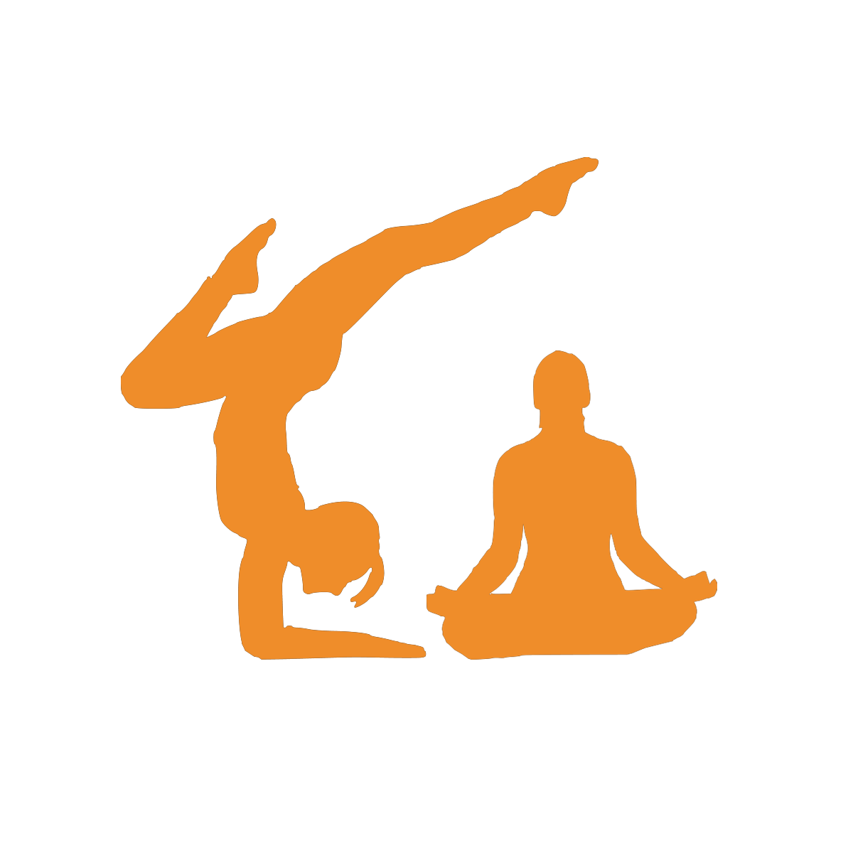 wellness and fitness activities